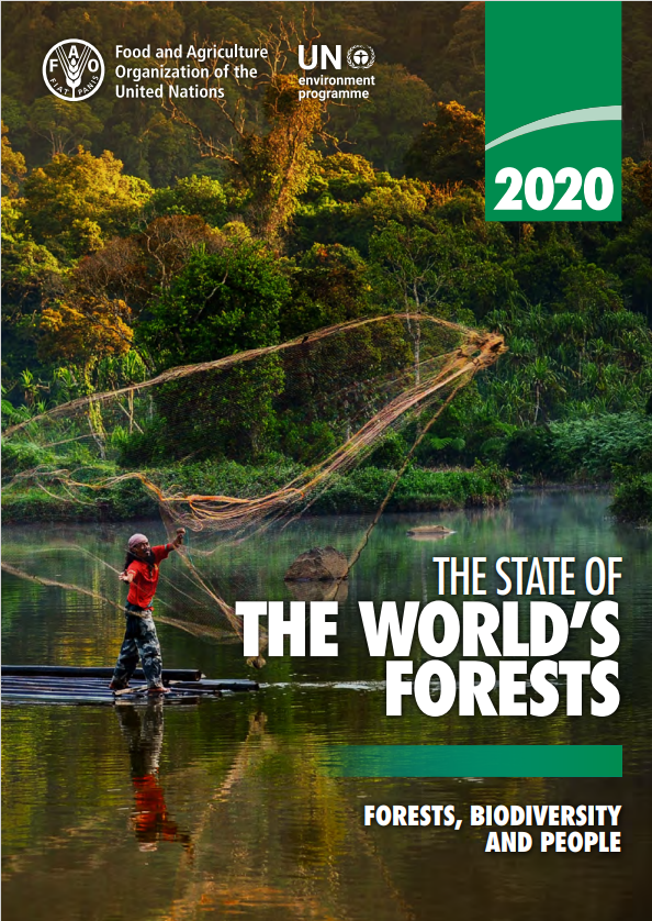 FoWaNetwork's tweet photo. Check out our Forest and Water website to access loads of useful resources on the #forestwater nexus, including those featured below 📚🌿

👉https://t.co/hpV1iEj2Bx https://t.co/kBQUE9P0VP