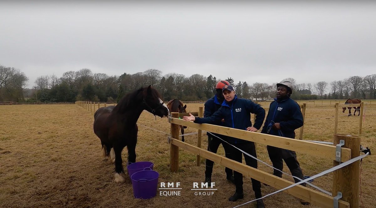 🐎 Ready to become a certified equestrian this summer? Join RMF's FREE weekday & weekend courses for those 19+ in #WestMidlands and learn horse care essentials like tacking, leading, and grooming. Call 0121 440 7970 to enrol.