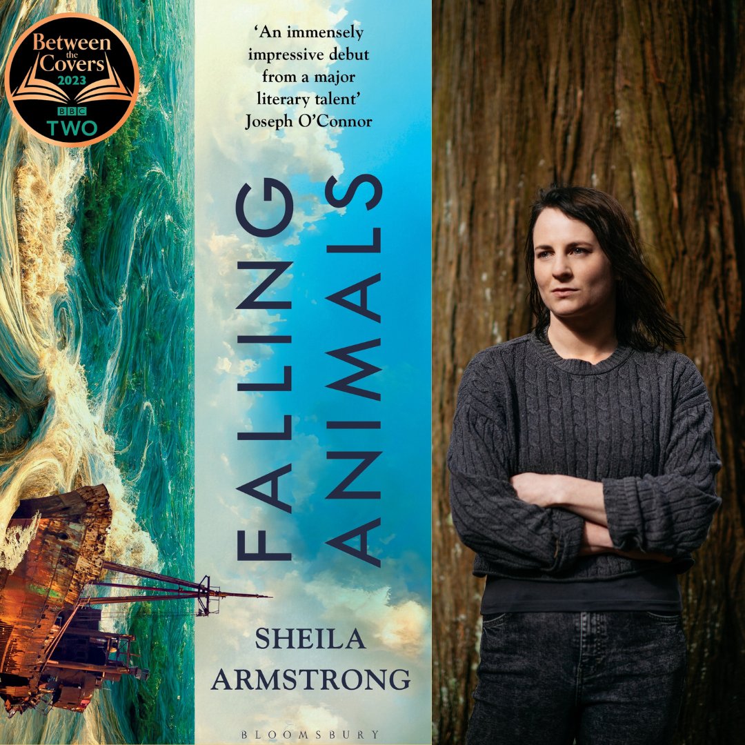 🌟Sheila Armstrong Francis – ‘Falling Animals’ @Sheela_no_gig