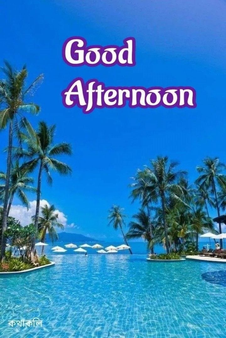 Good afternoon all my dear