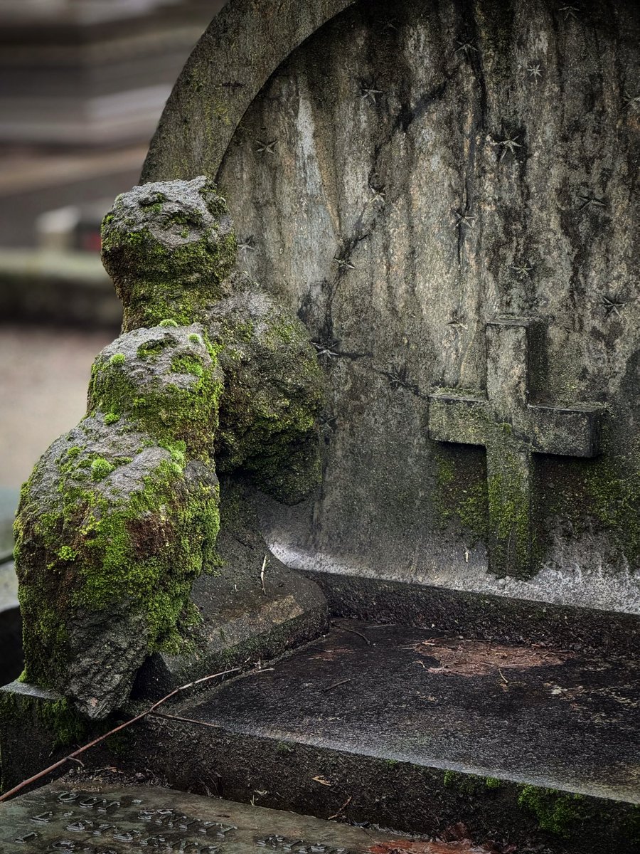 #OwlishMonday  🦉🦉🪦
Monumental cemetery of Milan