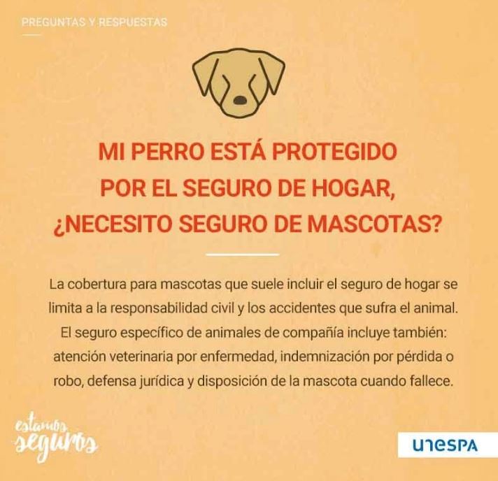 ¿Por qué tener un seguro para tu mascota hará que tenga mejor salud? Nos lo cuenta @EstamosSeguros_ ➡️ bit.ly/44Ix5oU ⬅️
