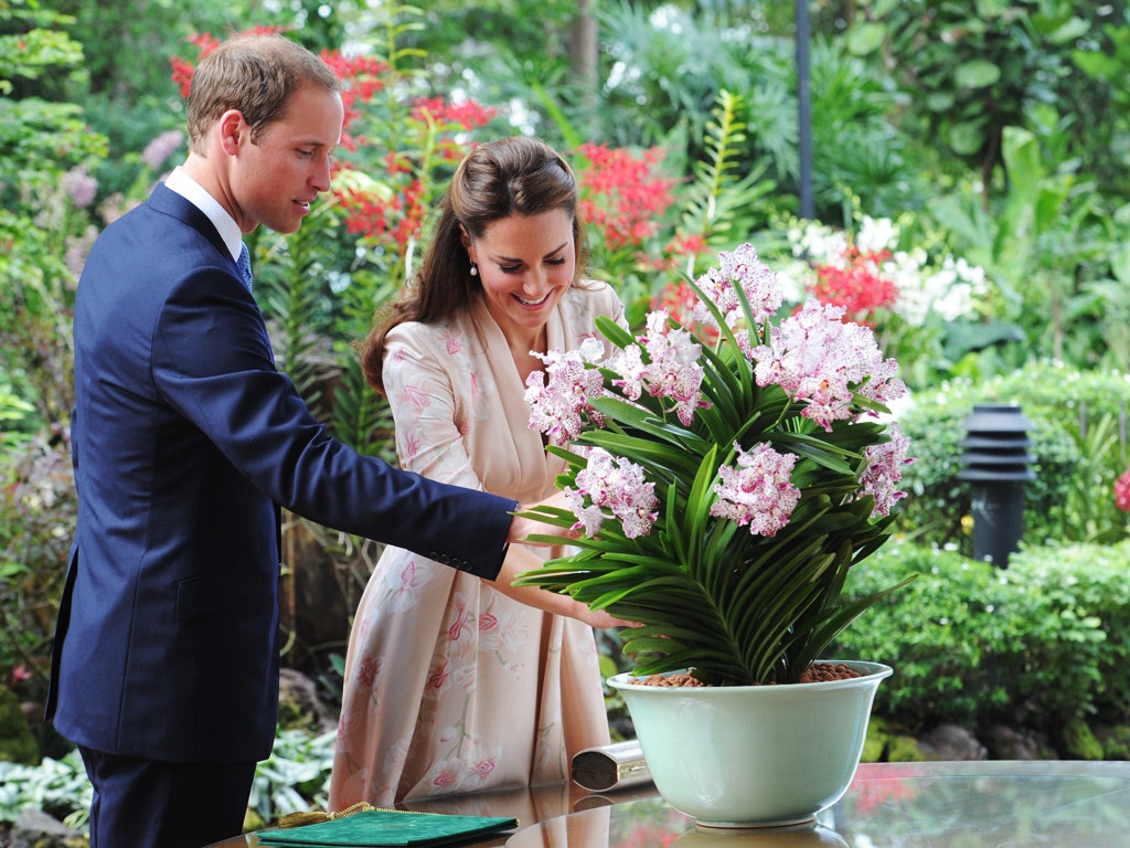 The Prince & Princess of Wales ♥️♥️
Img Src: @Royalissimo