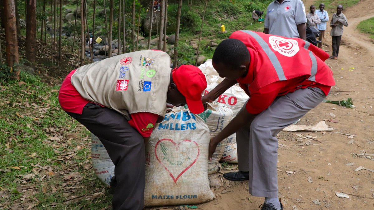 OxfaminUganda's tweet image. With support from @eu_echo, learn how Oxfam, @CRSUganda, @UgandaRedCross &amp;amp; @Caritas_Ug are working with local #communities to de-risk disasters #landslides #mudslides and #floods in the Mt Elgon region.  

🔗t.ly/XrdSq 
#DisasterManagement