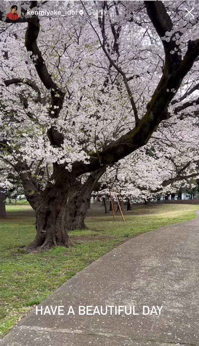 健くんお花見のお裾分けありがとう🌸
昨年の春はこの先の寂しさと不安を抱えながらだったな。
そして今年の春はこんなにワクワク過ごせるなんてね。
本当にありがとう🧸🧡

#瞬間電報健
#三宅健