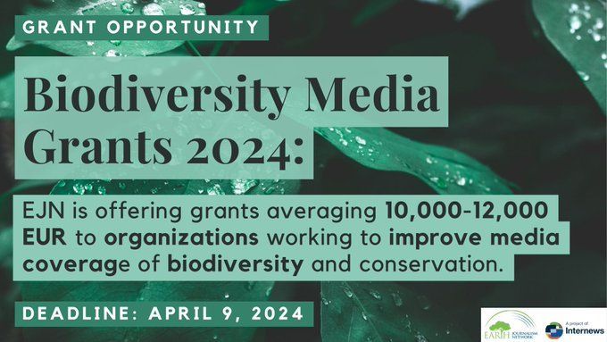 DEADLINE ALERT: There's still time for media organisations and journalism schools to apply for @earthjournalism's latest training and capacity building grant programme, designed to strengthen media reporting on biodiversity issues. 🗓️ Apply by 9 April: t.ly/YdIPZ