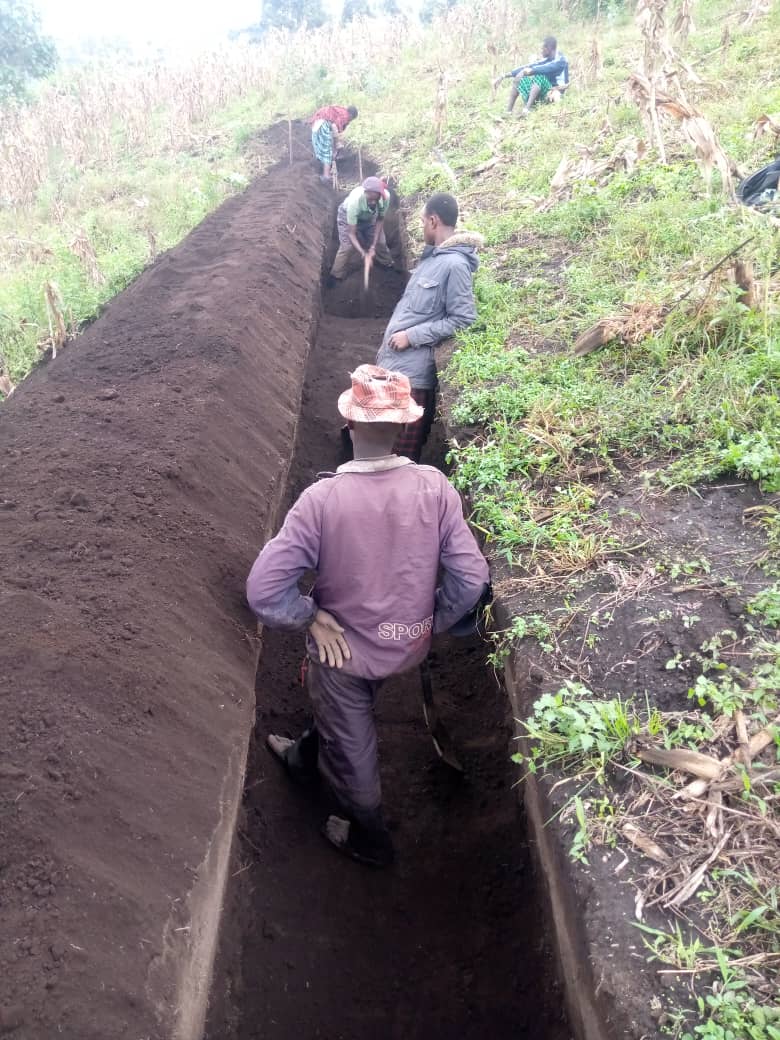 agriculture and farms at large. Under the HUSISHA program, MVIWAARUSHA is implementing a bold and evident FMNR with the farmers.  #husishaforsustainabledevelopment #Husisha