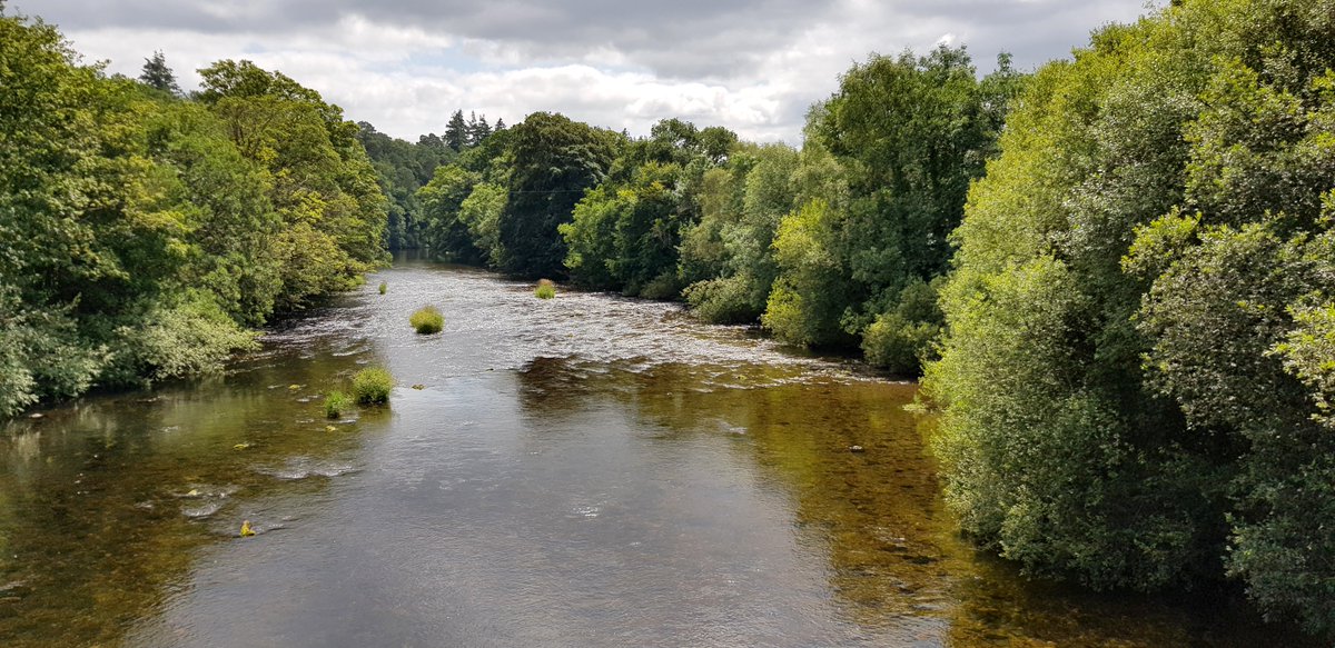 In the current edition of Natur Cymru, Seth Johnson-Marshall of @AfonyddCymru asks why the time is right for the radical changes needed to improve our Welsh rivers. To subscribe and learn more: bit.ly/NaturCymru2024 📸 Seth Johnson-Marshall