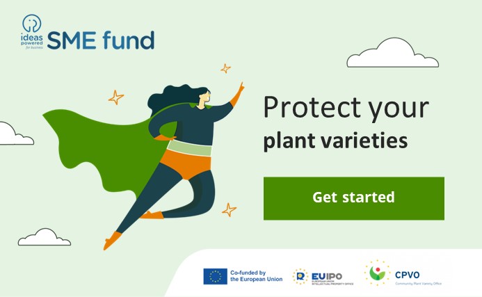 CPVOTweets's tweet photo. ๐ Embrace the Global Stage with Local Support!
The CPVO is dedicated to helping SMEs master the art of IP protection.
Tap into the power of the 2024 SME Fund & let your plant varieties gain recognition worldwide.
Discover more at: https://t.co/mUUrLJJ3Ii
#CPVR @IdeasPowered https://t.co/5MqZuITe5D