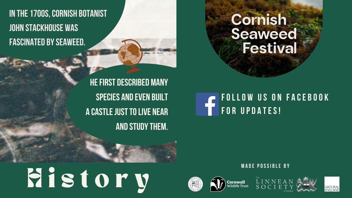 Ever wondered: WHY SEAWEED? 🌿 Many people avoid seaweed at the beach - but it's a powerhouse of potential! Seaweed provides food, inspires art & science, and has a rich history. Join us May 11th-12th at the #CornishSeaweedFestival for more. 🌊 📷Jasmine Rix, Natural England