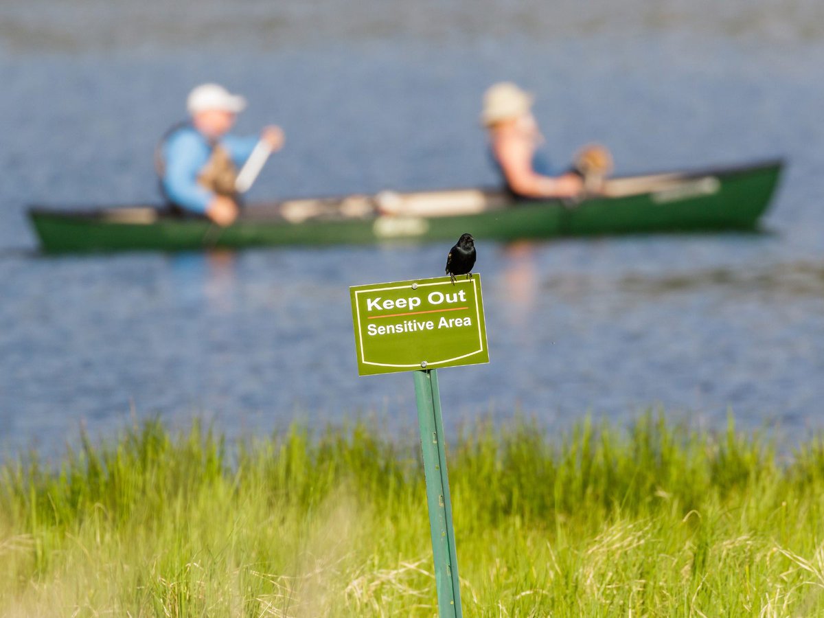 🌿 Join us in 2 days for a webinar on "Certification for Biodiversity Protection Funding" 🇳🇱 
Learn how certification ensures transparency &amp; qualifies for government support in the Netherlands. Featuring Tjebbe de Boer, of Stichting Certificering SNL.

👉 shorturl.at/ceouv