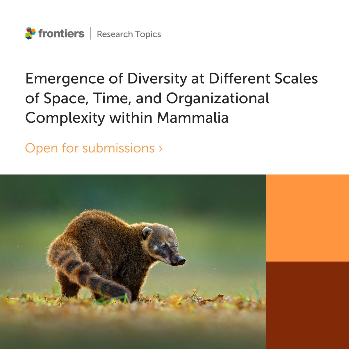 Exploring the emergence and maintenance of diversity at different scales of space, time, and organizational complexity, our latest Mammal Science Research Topic is open for submissions➡️fro.ntiers.in/63472 📝Drs. Furtado Dos Reis, Gonzalez, Bernal & Perez 🗓️27 September 24