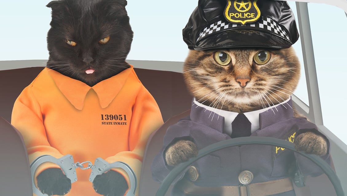 $COPCAT tweet media