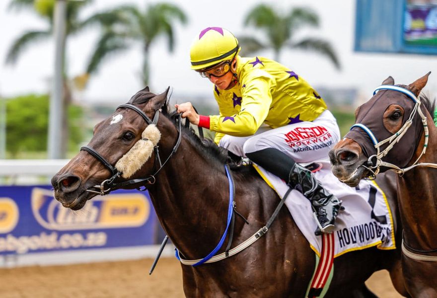 Hollywood Syndicate tweet media