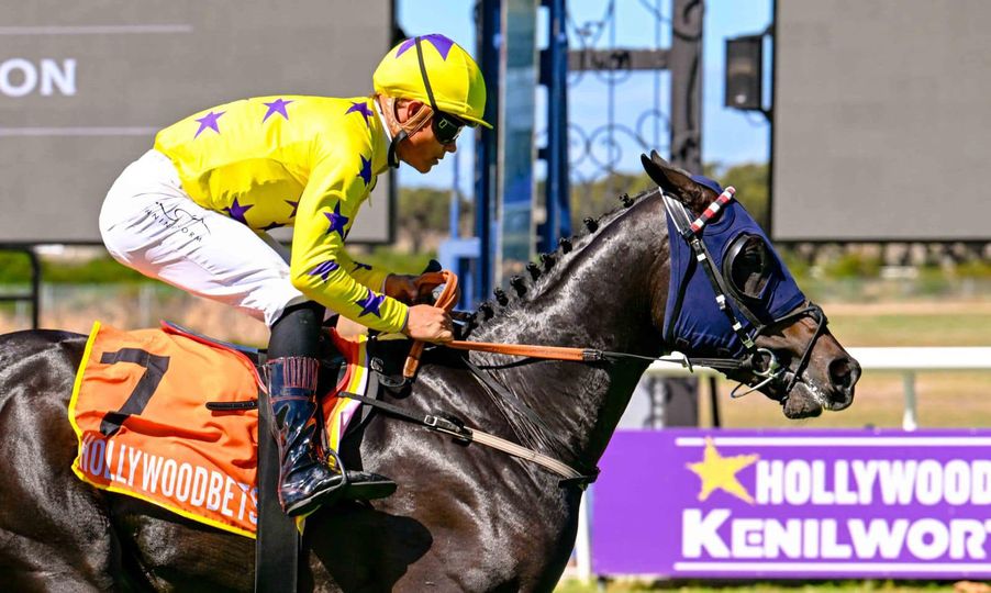 Hollywood Syndicate tweet media