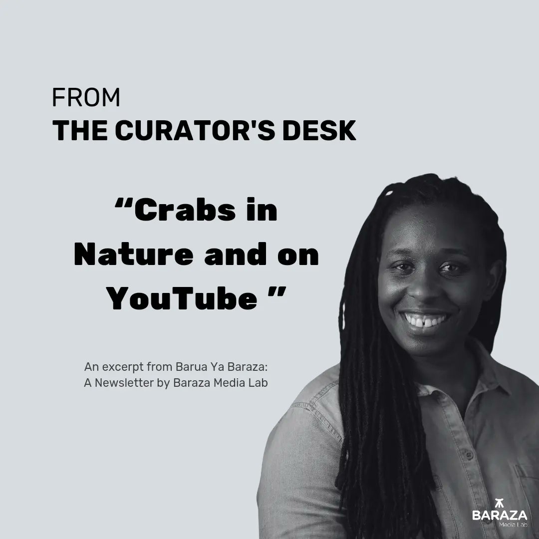 BarazaLab's tweet photo. 🦀 Crabs are taking over the internet... but not how you think!  Dive into the fascinating connection between crustacean evolution and the future of content creation 📽.
🔗 Click the link below to read more and subscribe to #BaruaYaBaraza! 
👉🏾 https://t.co/Whw51lUyRw https://t.co/Wk0EGMoHDn