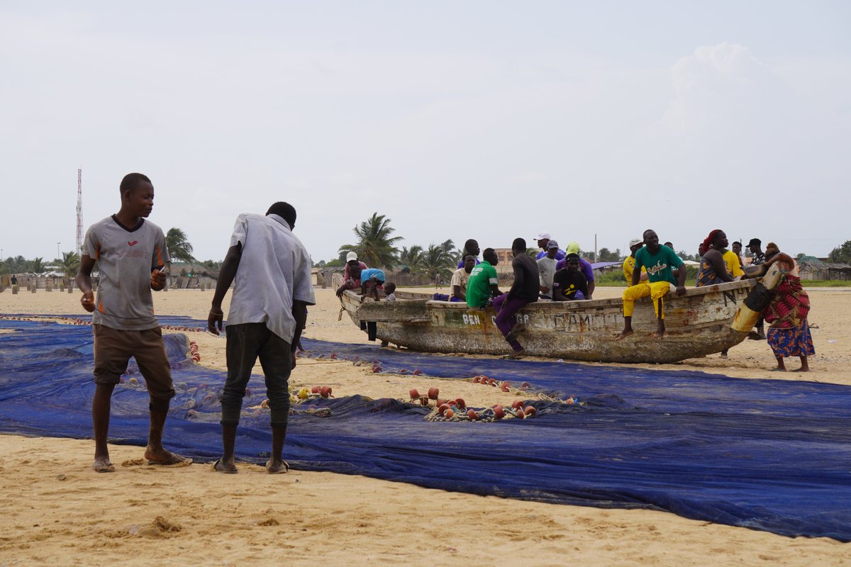 Pour la première fois, de nombreux pays du Golfe de Guinée ont mis en place un repos biologique pour la senne de plage 🪢🐟 Avec @AfriqueCaopa, nous avons passé une journée à observer cette fête communautaire au #Benin 🇧🇯 Voici nos impressions 👉t.ly/3XeFv