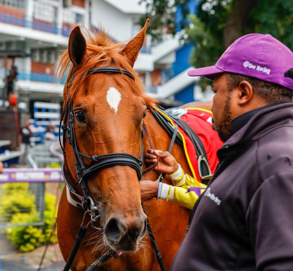 Hollywood Syndicate tweet media