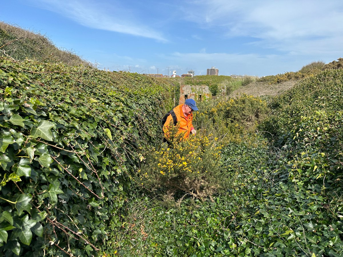 Littlehampton Fort tweet media