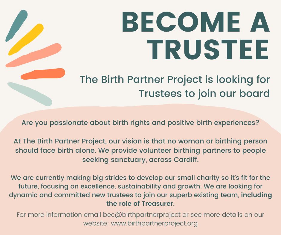 Exciting times...we are recruiting to our Board! If you think you're the right fit as one of our Trustees (maybe you're even our new Treasurer?!) please get in touch... birthpartnerproject.org