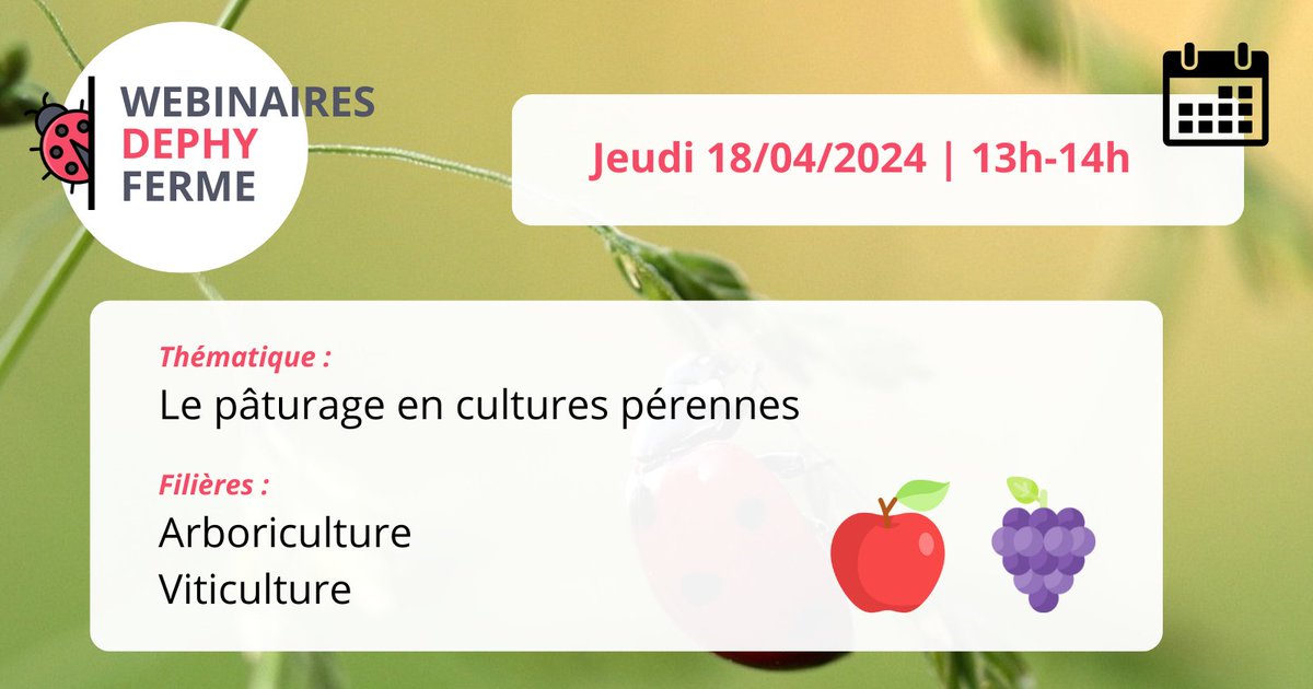 [J-10 WEBINAIRE DEPHY FERME] 🐞
Le pâturage en cultures pérennes 🌳 🍇
📅 Jeudi 18 avril | 13h-14h
Infos &amp; inscription 👉 cutt.ly/iw8QRGdy

#webinaire #DEPHY #DEPHYFERME