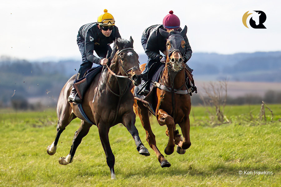 💨 Is there a better sight than watching thoroughbreds in full flight?

😍 ROBUSTO wooed his owners at a recent stable visit working upsides his stablemate on the gallops @johnsonhoughton!