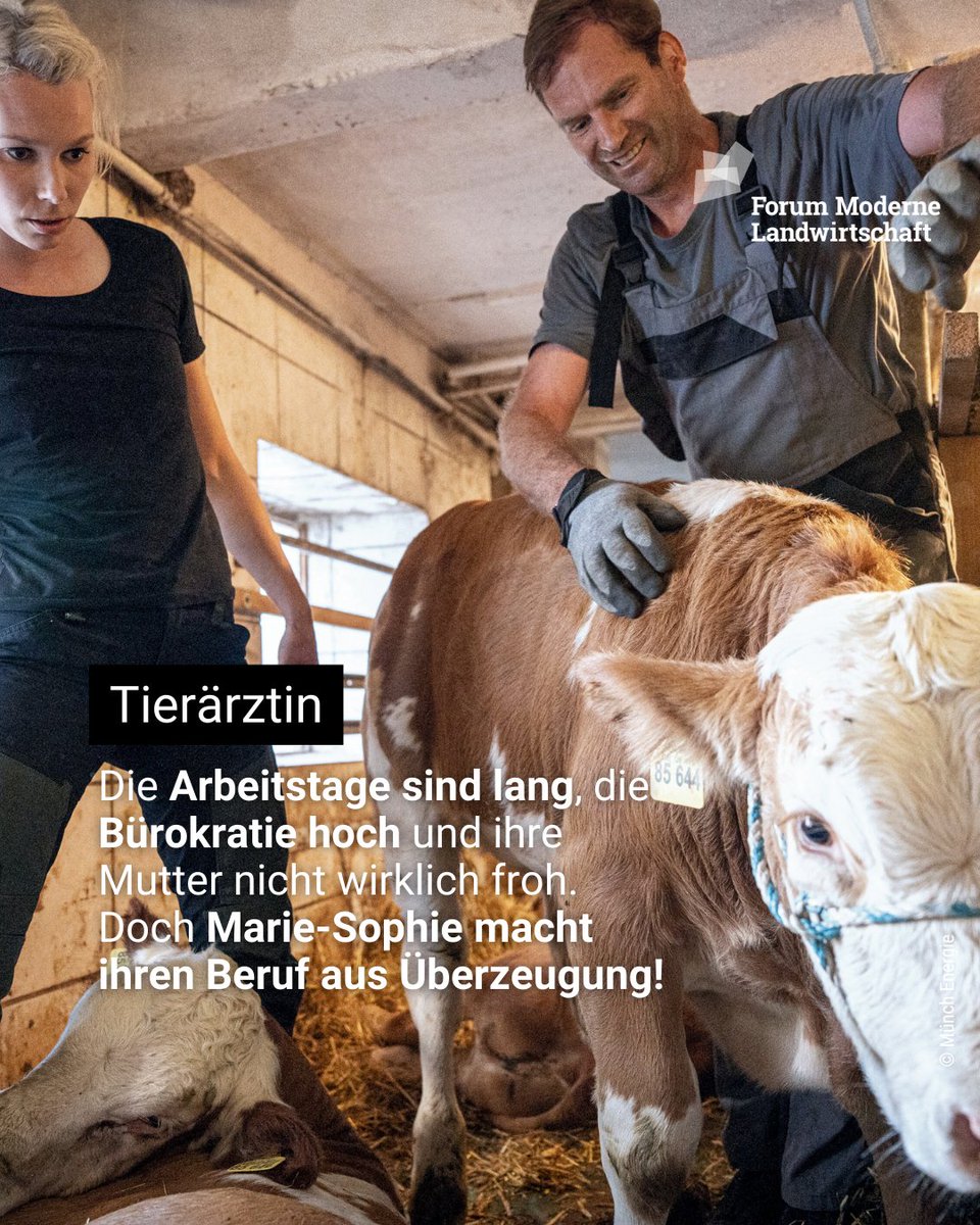 Bis zu 1000 Kilometer pro Woche fährt sie, um ihre großen Patienten zu behandeln. 😊

Marie-Sophie ist Tierärztin und betreut mit ihrer Kollegin zusammen 150 Bauernhöfe, auf denen Kühe und Bullen gehalten werden.
"Rinder sind sehr soziale Tiere. Wenn ich in einen Stall komme,