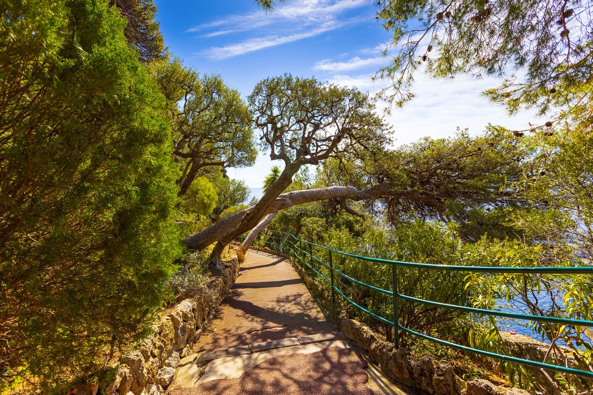 🌼☀️April is definitely there! 

#VisitMonaco #SpringInMonaco #April