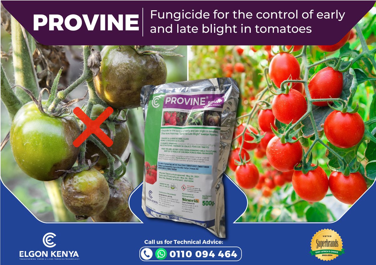 Don't let BLIGHT destroy your tomato crops!! Protect your them from early and late BLIGHT with PROVINE. AI:- Dimthomorph 400g/Kg + Cymoxanil 100g/kg Rate of Use: 15g per 20L of water PHI:- 3 days Call 0110 094 464 to BUY. #tomato #provine #tomatofarming #EarlyLateBlight