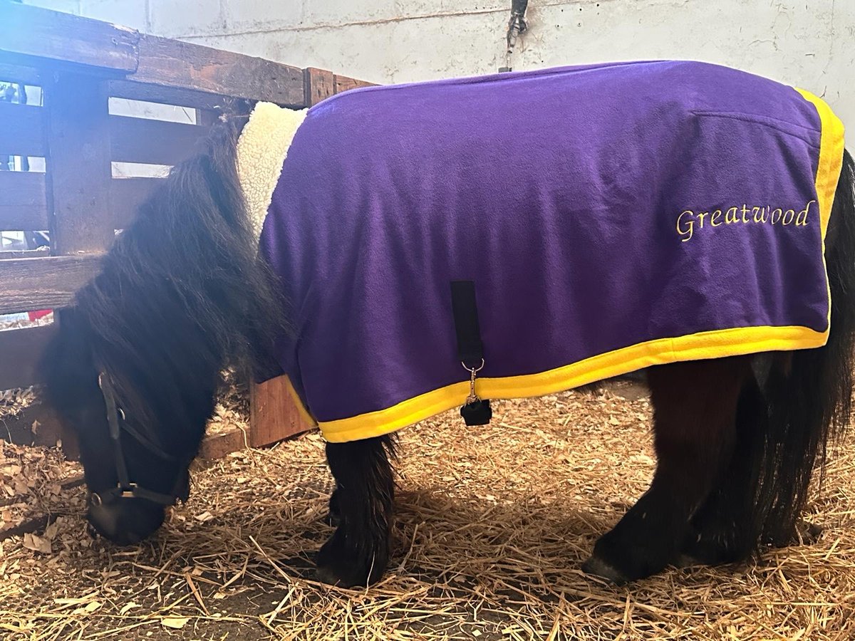 Meet Gladys Bliss. Gladys may be small but she will be making a BIG impact when she attends @NewburyRacing on 20th April to @DubaiDutyFree Spring Trials & Beer Festival along with Marv, Newbury's equine ambassador. greatwoodcharity.org #Mondayvibes