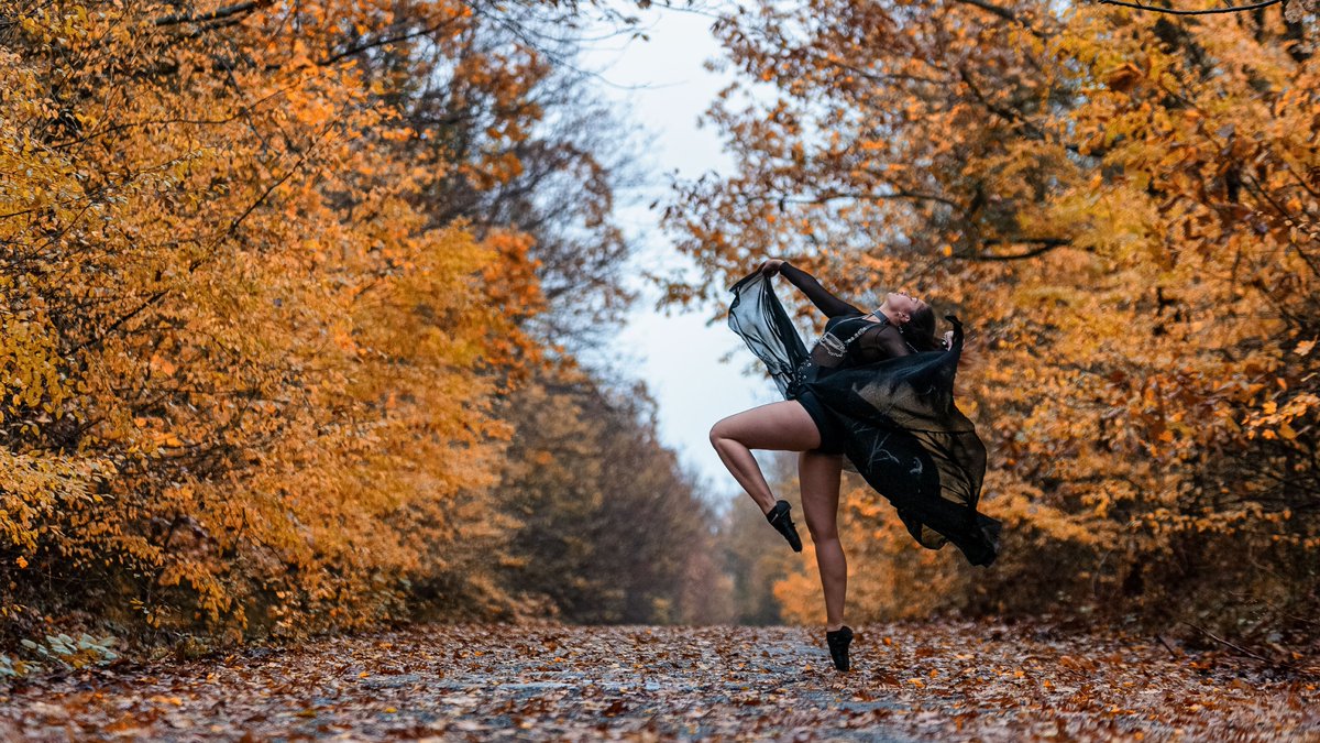 MelihERSAHiN tweet media