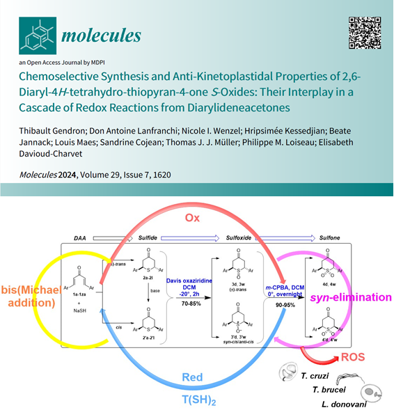 Our article is now published in Molecules: doi.org/10.3390/molecu… In this article, we masked the (bis-)Michael acceptor sites of dibenzylideneacetones to express a prodrug effect through a cascade of redox reactions. @LIMA, @ParaFrap, @ecpm, @INC_CNRS