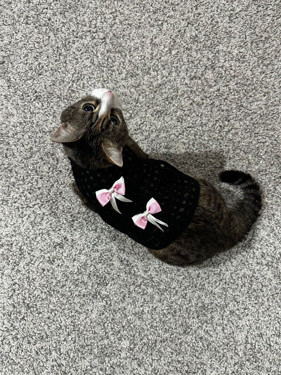 Babişkoannem bayramlık örmüş