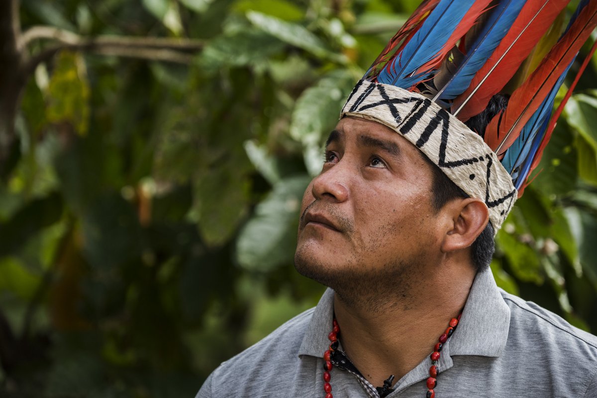 🧵What if #indigenous communities were empowered to protect one of the planet’s most important natural tools to fight climate change?