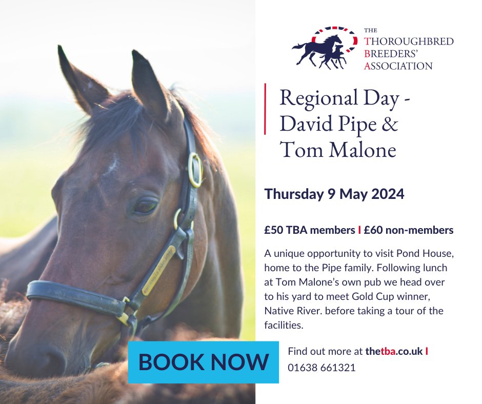 ⚔️TBA SOUTH-WEST REGIONAL DAY⚔️ Date for the Diary: The TBA are pleased to announce an additional South-West Regional Day in 2024 with a visit to @DavidPipeRacing & @TMBloodstock on Thursday 9 May. Book today👉shorturl.at/orGY6