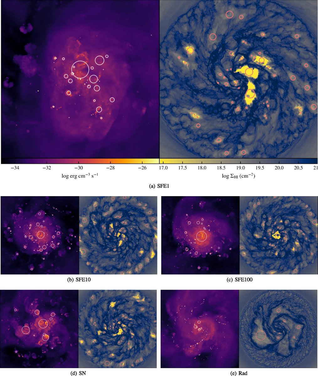 Published in #MNRAS 'Evolution and distribution of superbubbles in simulated Milky Way-like galaxies', Li et al. This is Fig. 1: for the caption & to read the paper visit academic.oup.com/mnras/article/…