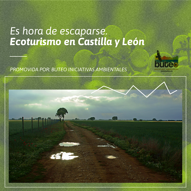 Ruta Vino de Rueda tweet media