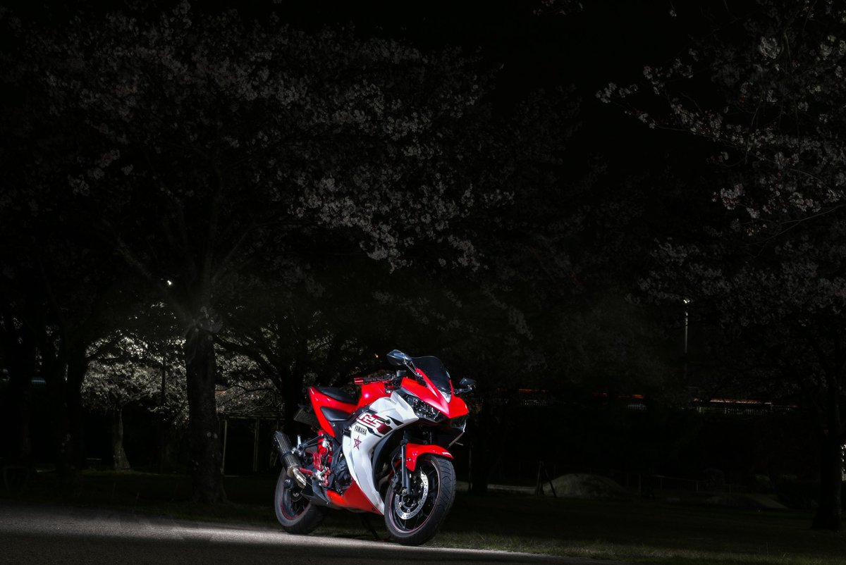 numgrapher's tweet photo. 夜桜見に近所までツー🌸

#YZF
#R25 https://t.co/5shv9wLfvb