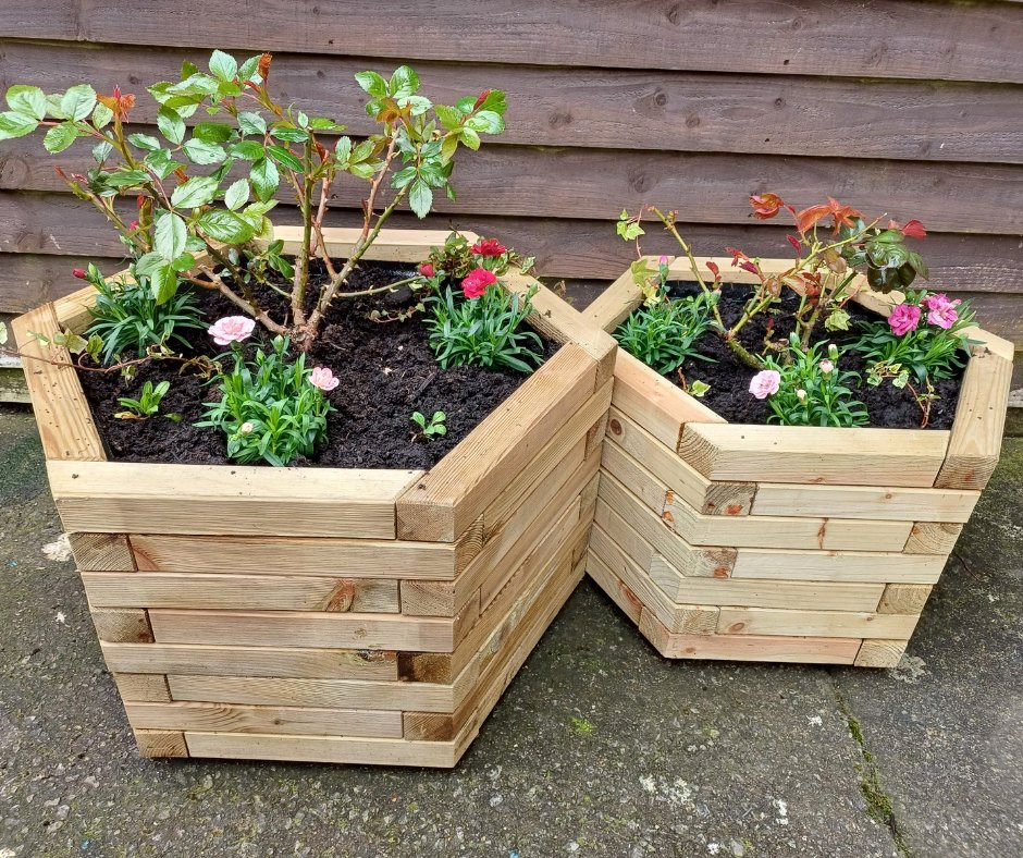 The Somerlap Team tweet media