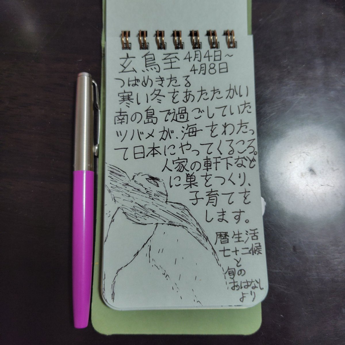 #手書き文字 
ツバメ！もう来てますねぇ😉