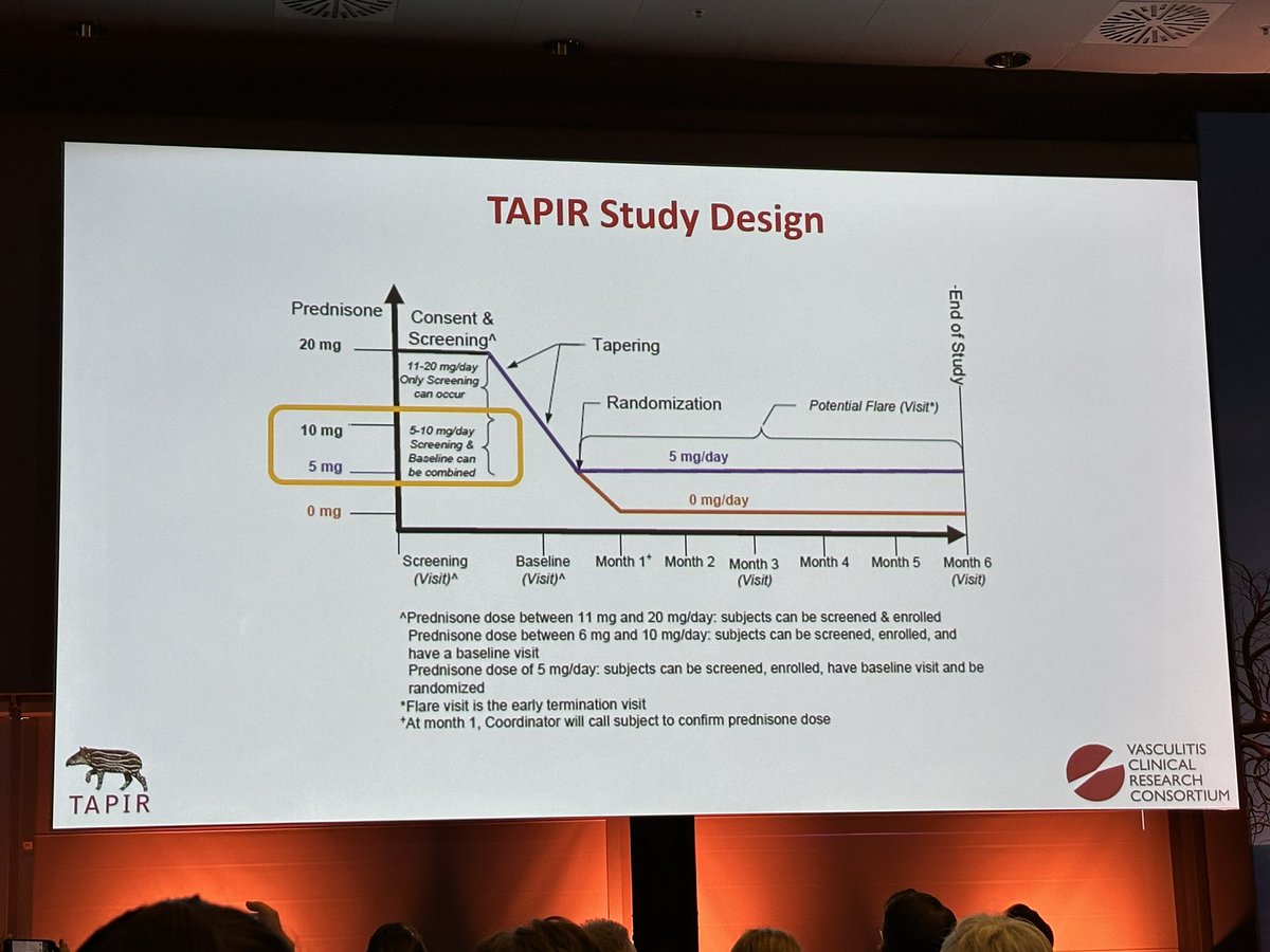 MaineAnjouReg's tweet photo. Results of the open label TAPIR trial: glucocorticoid discontinuation in GPA #ANCA vasculitis. 
▶️ higher number of relapse at 6 months for the discontinuation group
▶️ but driven by minor relapses and by subgroup not treated but Rituximab. @DrPeterMerkel #vasculitisBCN2024 https://t.co/RVc8KdVCLJ