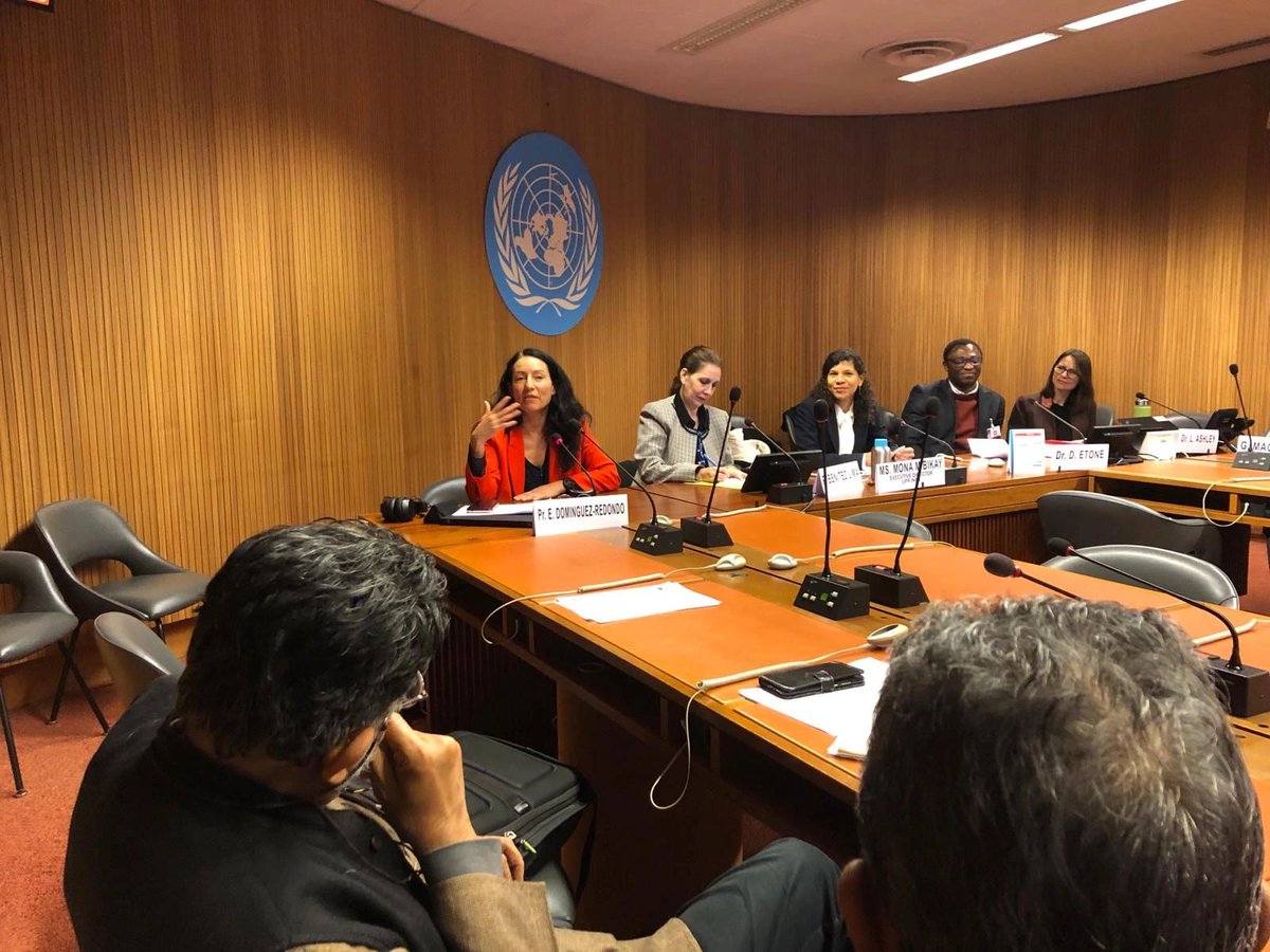 🗣️🌎 Professor Elvira Dominguez Redondo presented her research on the impact of the Universal Periodic Review at the United Nations Headquarters!