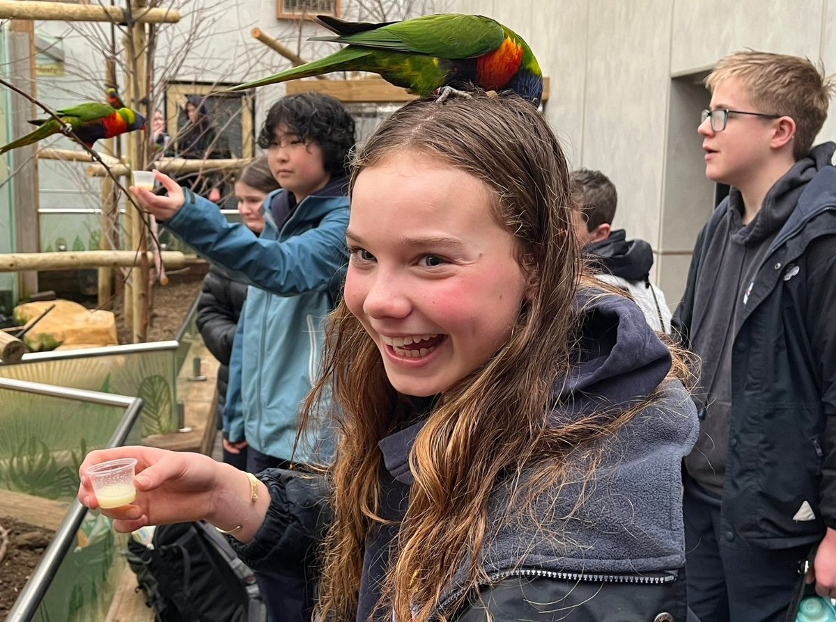 🌍 Our Year 8 Geographers had a wild adventure exploring Colchester Zoo! 🦁 From learning about diverse habitats, to discovering the importance of conservation for endangered animals, they gained valuable insights into our planet's biodiversity. 🦋🐘 #RHSAdventure #RHSHappy