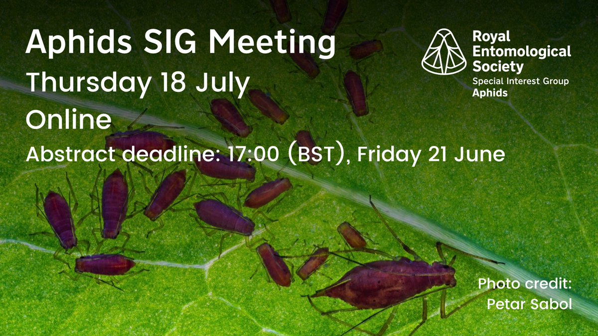 Join our Aphids Special Interest Group at their next meeting on 18 July. This online event will highlight current #aphid research & provide an opportunity for discussion & engagement. Abstract submission & registration now open. royensoc.co.uk/event/aphids-2… #Entomology #AphidSIG