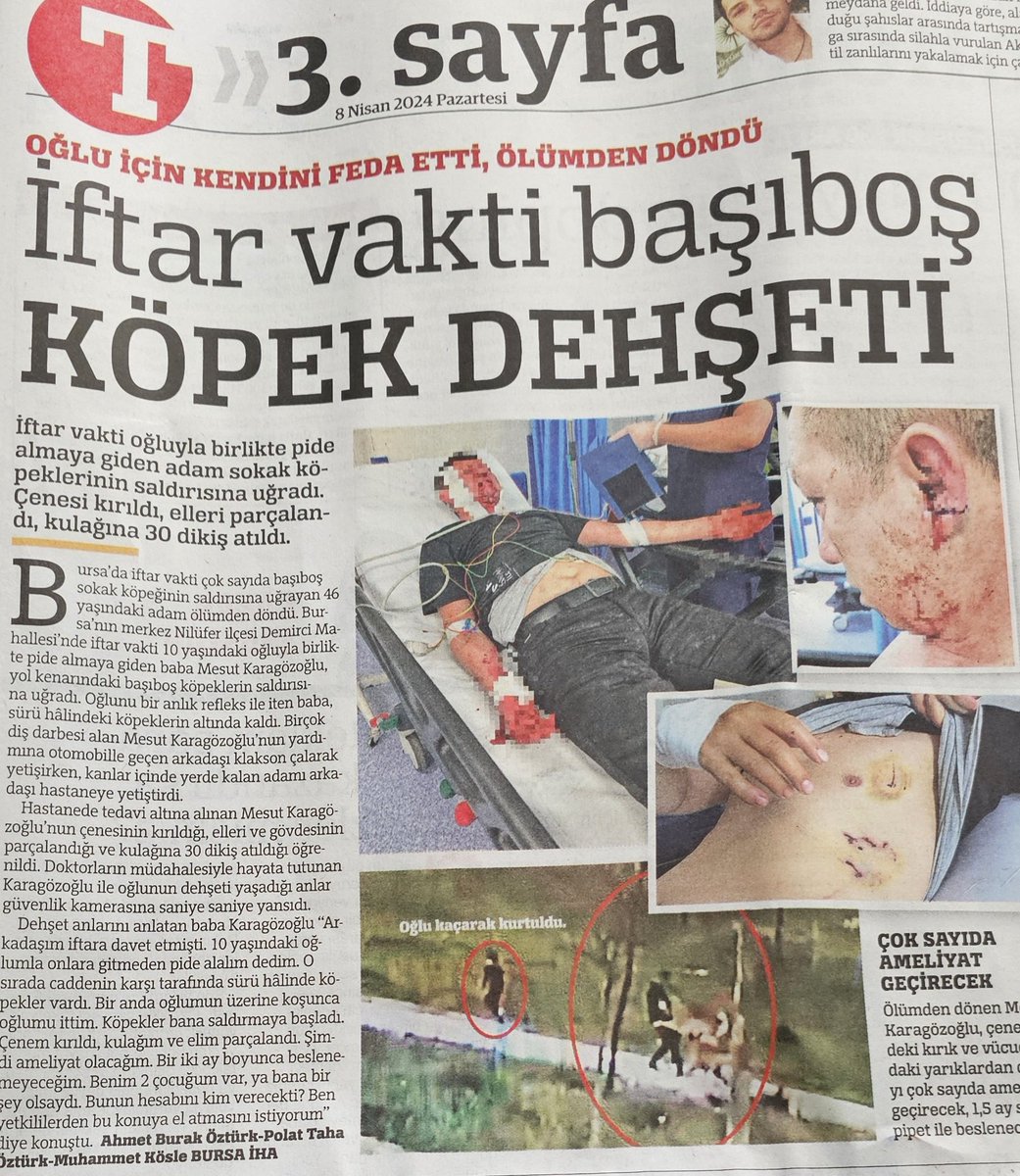 Hükümet ve Vekiller, seçimden mesaj çıkardık diye-dursun, işte bu görüntü ve acılar hergün kan kaybettiriyor!
Yarın da bazı vekiller, bu acının üzerine "az ısırdınız tatlım" der gibi köpek sevici fotoğraflarını paylaşır mı acaba?
Ardından da oy kayıpları için bizi suçlarlar mı?