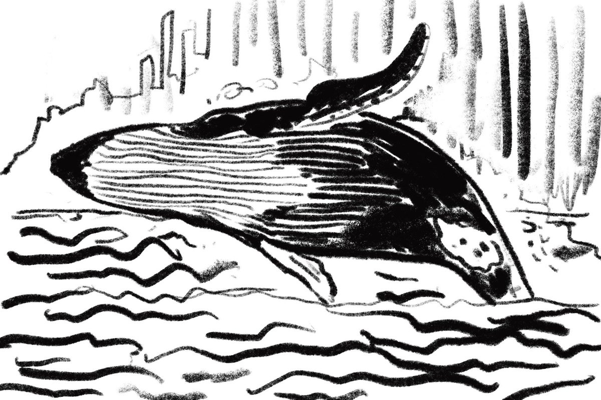 Things I had planned for this year. A woodcut of when we went to see whales down the Tasman peninsula.