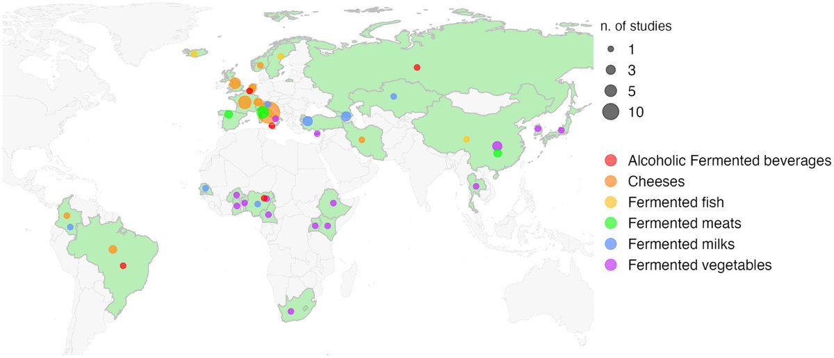 Rich history of fermented foods❗ From 8000-year heritage to recent findings, Valentino et al dives into the microbial worlds of traditional fermented foods. Could they be the key to novel probiotic strains, enriched nutrition, and a sustainable future? ➡️ ami-journals.onlinelibrary.wiley.com/doi/10.1111/17…