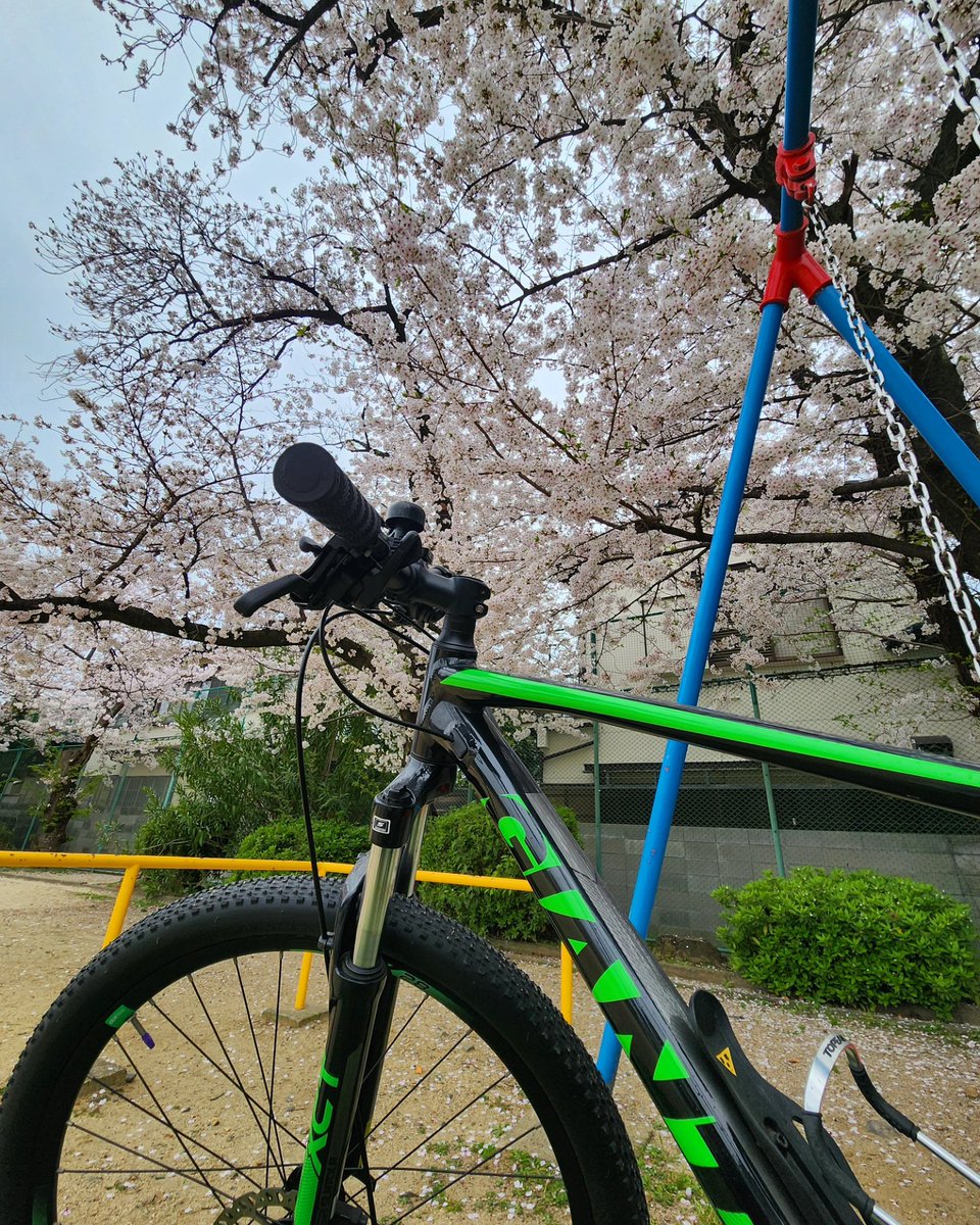 近くの公園で！🌸
#Galaxy 
#EOS #EOSR10  #写真好きな人と繋がりたい #カメラ好きな人と繋がりたい #カメラ男子