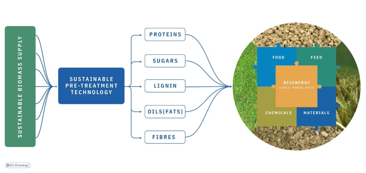 Biorefining is the processing of biomass feedstocks into a spectrum of marketable products and bioenergy. As biomass comprises many components with complex molecular structures, #biorefining is well suited to producing not only bioenergy but a wide variety of fibre, protein, and
