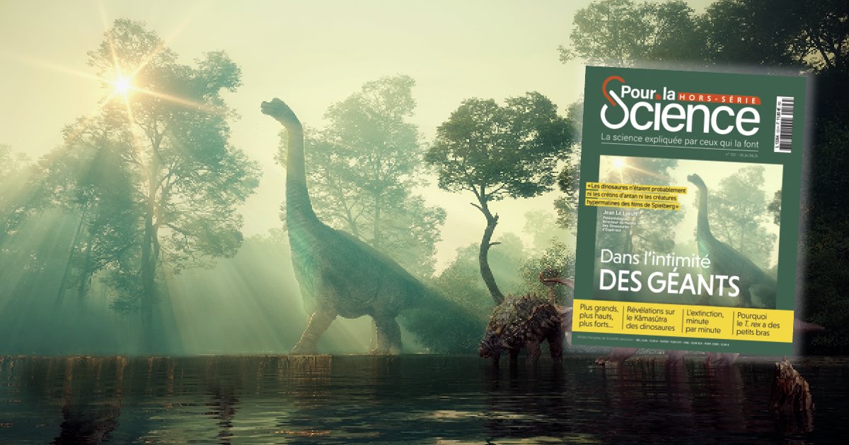 📰 NOUVEAU NUMÉRO | Hors Série Pour la Science - Dinosaures : dans l'intimité des géants pourlascience.fr/sd/paleontolog…